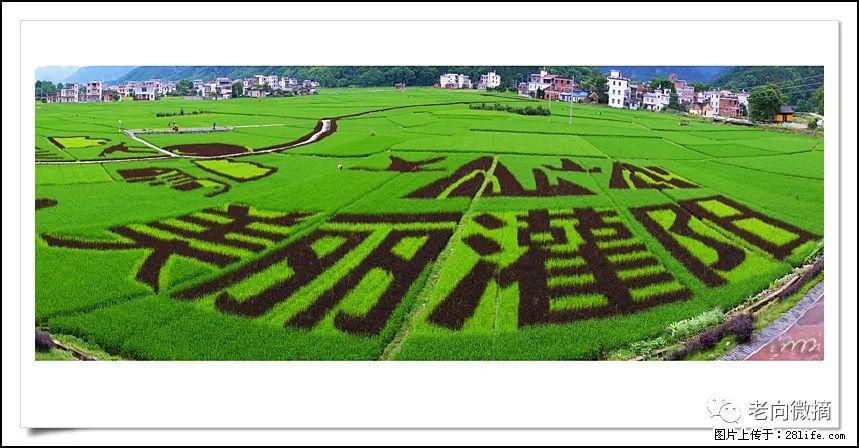 【春天,广西桂林灌阳县向您发出邀请!】开篇 - 游山玩水 - 仙桃生活社区 - 仙桃28生活网 xiantao.28life.com