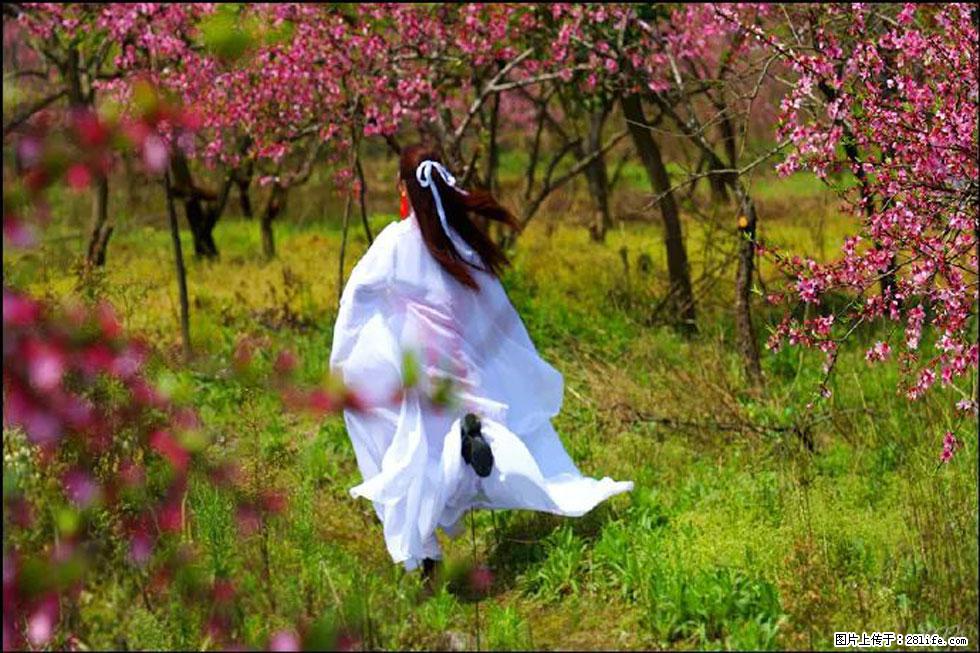 【春天,广西桂林灌阳县向您发出邀请!】官庄村有个醉美的桃花园 - 游山玩水 - 仙桃生活社区 - 仙桃28生活网 xiantao.28life.com