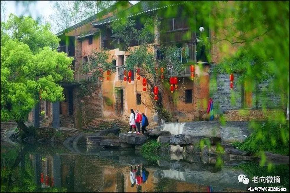 【春天,广西桂林灌阳县向您发出邀请!】江口老街又逢春 - 游山玩水 - 仙桃生活社区 - 仙桃28生活网 xiantao.28life.com