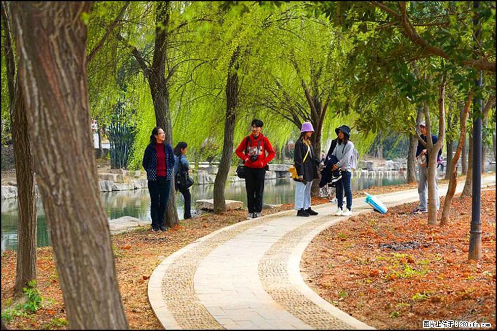 【春天,广西桂林灌阳县向您发出邀请!】江口老街又逢春 - 游山玩水 - 仙桃生活社区 - 仙桃28生活网 xiantao.28life.com