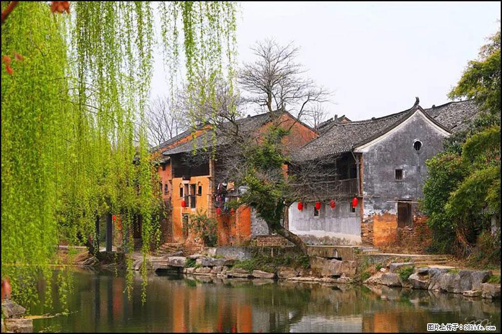 【春天,广西桂林灌阳县向您发出邀请!】江口老街又逢春 - 游山玩水 - 仙桃生活社区 - 仙桃28生活网 xiantao.28life.com