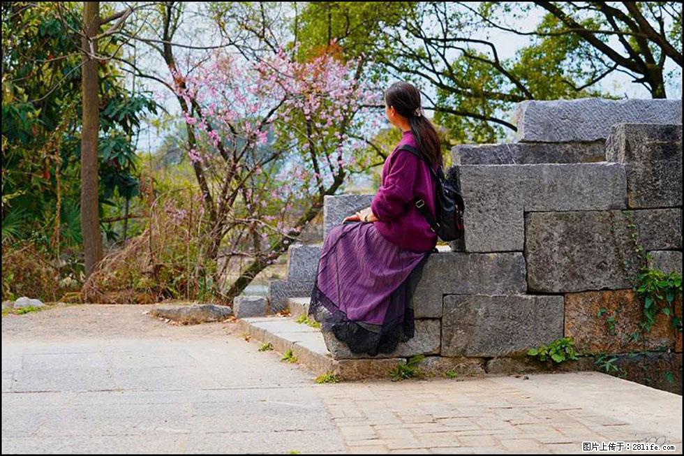 【春天,广西桂林灌阳县向您发出邀请!】江口老街又逢春 - 游山玩水 - 仙桃生活社区 - 仙桃28生活网 xiantao.28life.com