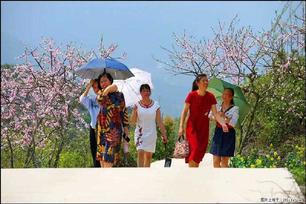 【春天,广西桂林灌阳县向您发出邀请!】望月岭上桃花开 - 游山玩水 - 仙桃生活社区 - 仙桃28生活网 xiantao.28life.com