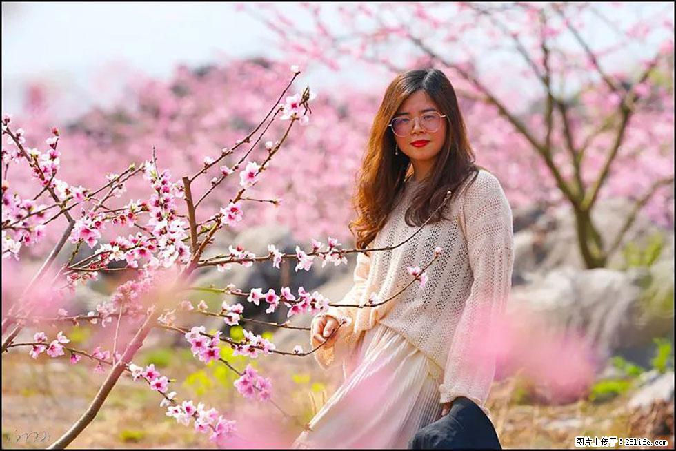 【春天,广西桂林灌阳县向您发出邀请!】望月岭上桃花开 - 游山玩水 - 仙桃生活社区 - 仙桃28生活网 xiantao.28life.com