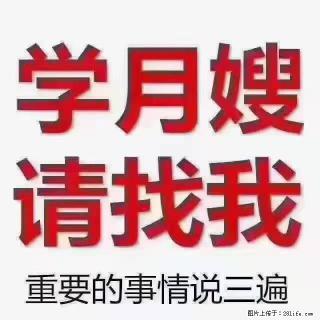 【招聘】月嫂，上海徐汇区 - 仙桃28生活网 xiantao.28life.com