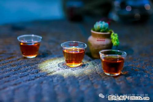 时间果百年古树2025年春红茶 - 购物交流 - 仙桃生活社区 - 仙桃28生活网 xiantao.28life.com