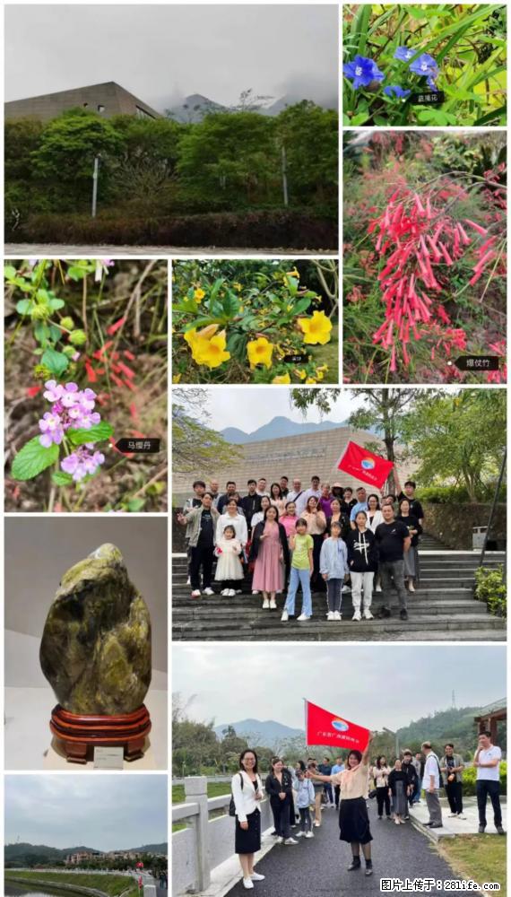 “粤灌文化 美好生活”油茶文化主题活动在广东深圳成功举办 - 仙桃生活资讯 - 仙桃28生活网 xiantao.28life.com