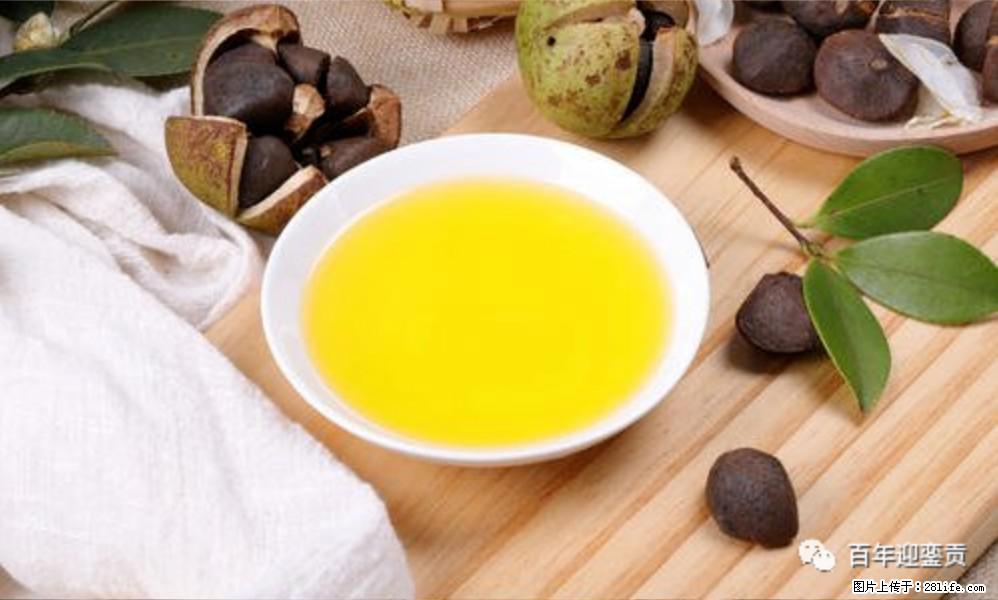 揭秘茶油的5大核心营养成分!被称为人体健康的“守护盾”! - 仙桃生活资讯 - 仙桃28生活网 xiantao.28life.com