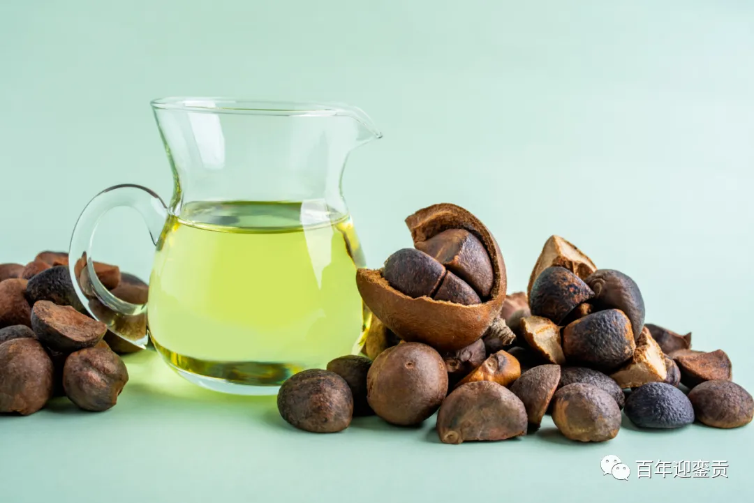 世界没有真相,只有认知,最好的食用油是中国的山茶油! - 仙桃生活资讯 - 仙桃28生活网 xiantao.28life.com