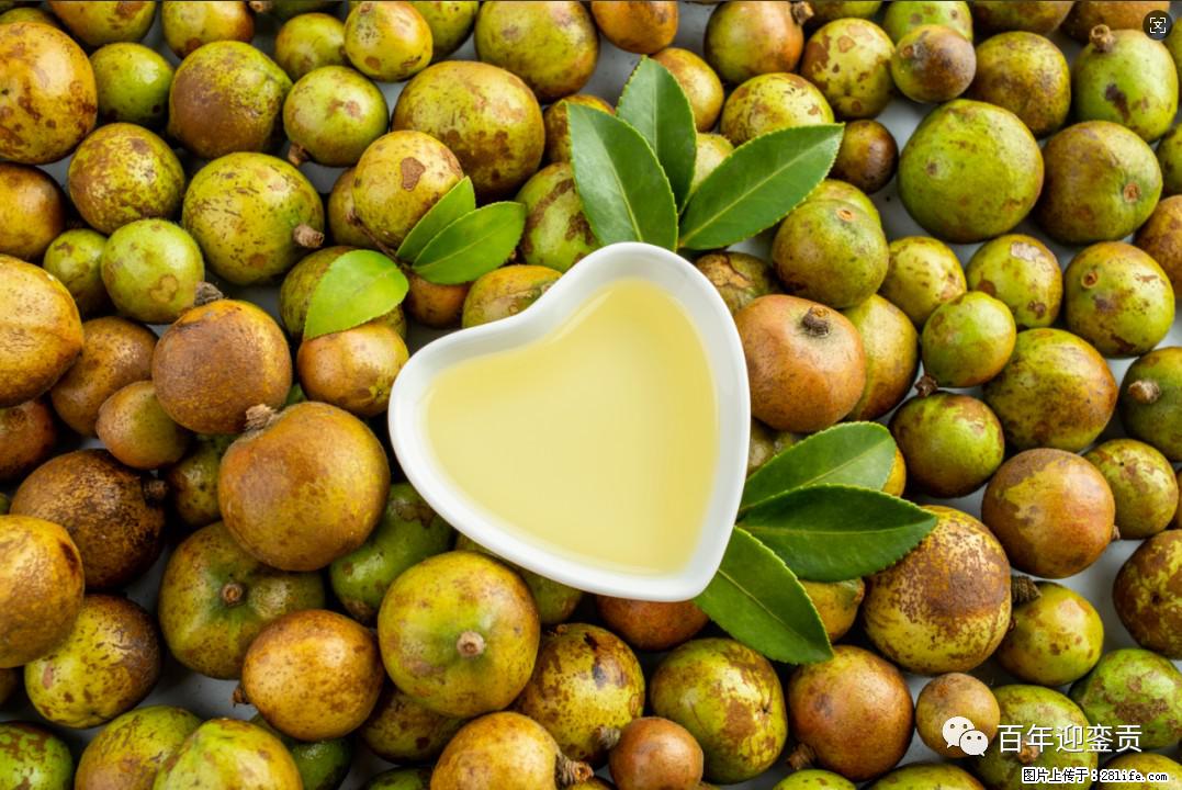 世界没有真相,只有认知,最好的食用油是中国的山茶油! - 仙桃生活资讯 - 仙桃28生活网 xiantao.28life.com