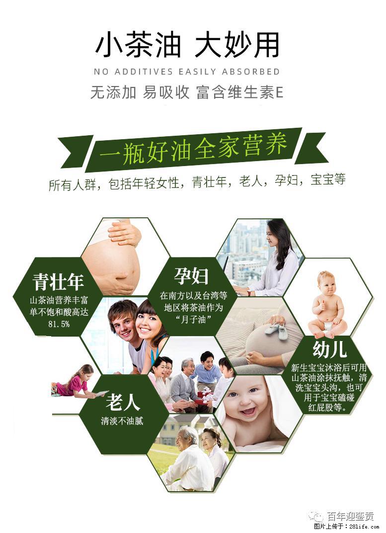 世界没有真相,只有认知,最好的食用油是中国的山茶油! - 仙桃生活资讯 - 仙桃28生活网 xiantao.28life.com