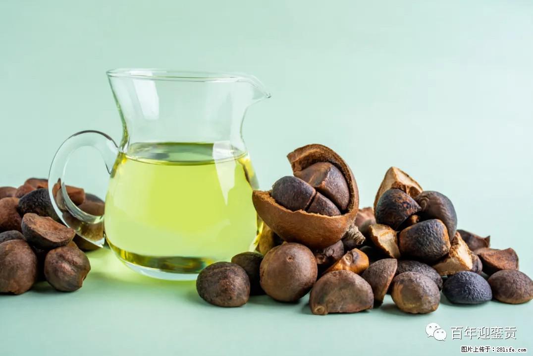 世界没有真相，只有认知，最好的食用油是中国的山茶油！ - 仙桃生活资讯 - 仙桃28生活网 xiantao.28life.com