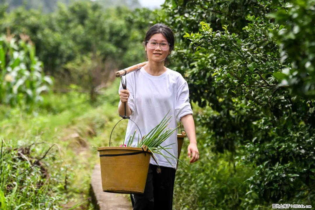 全网追的“扁担女孩”,找了一份暑假工,时薪12元 - 仙桃生活资讯 - 仙桃28生活网 xiantao.28life.com