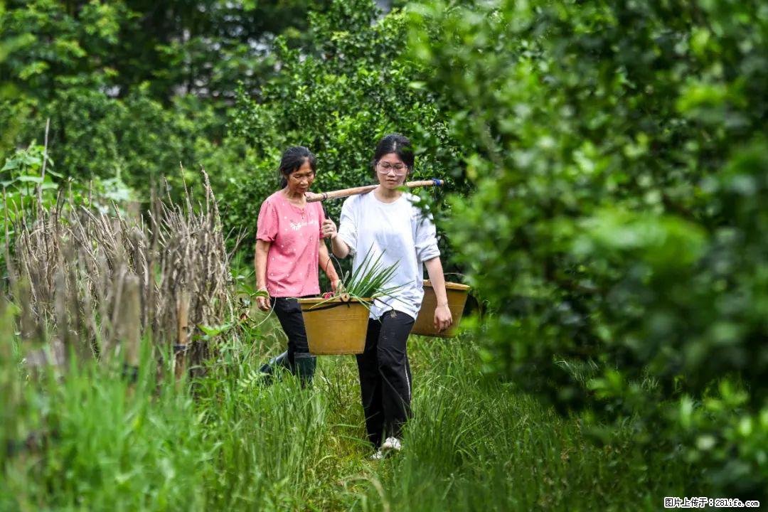 全网追的“扁担女孩”,找了一份暑假工,时薪12元 - 仙桃生活资讯 - 仙桃28生活网 xiantao.28life.com