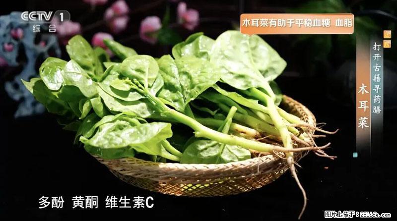 比牛奶补钙还厉害!凉血解毒、稳血糖...这菜冬天必吃,很多人却当草 - 仙桃生活资讯 - 仙桃28生活网 xiantao.28life.com