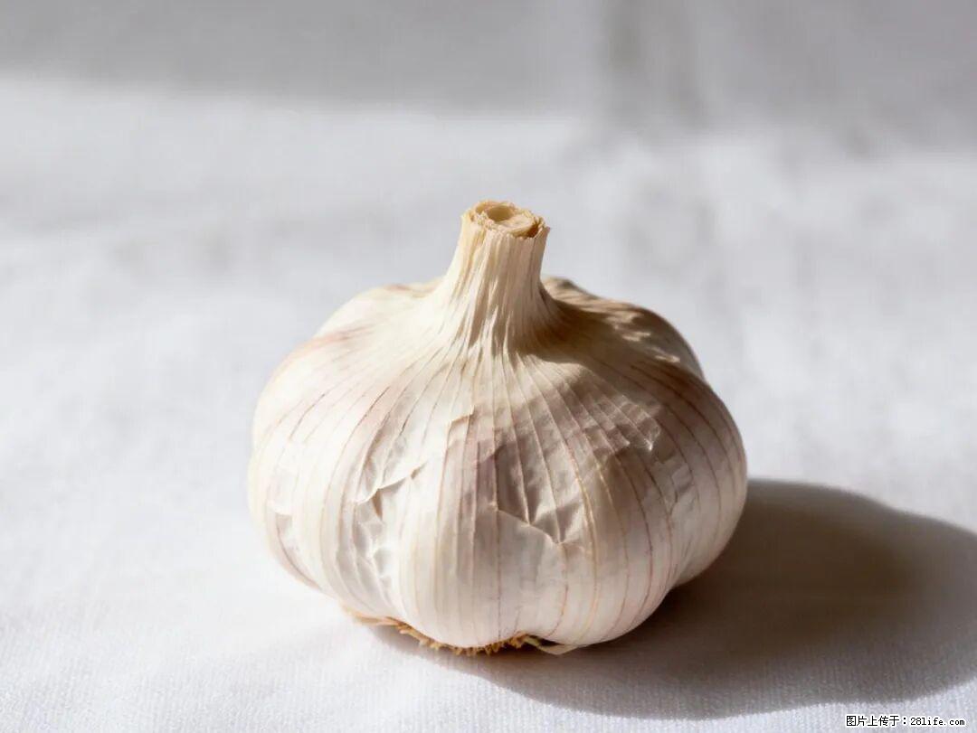 关于大蒜，除了“天然抗生素”，这4个谣言更该警惕! - 仙桃生活资讯 - 仙桃28生活网 xiantao.28life.com