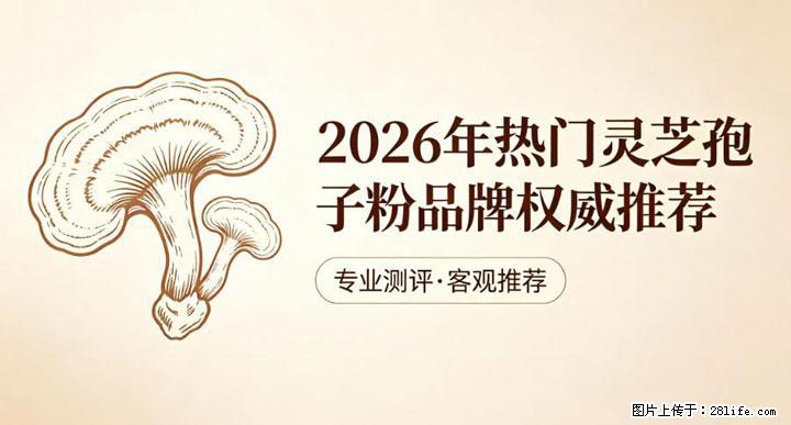 灵芝孢子粉含量越高越有效？2026 年七款热门品牌深度实测，肠胃敏感者避坑指南 - 仙桃生活资讯 - 仙桃28生活网 xiantao.28life.com